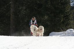 San Bernardino 2008